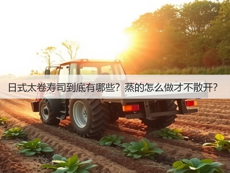 日式太卷寿司到底有哪些？蒸的怎么做才不散开？