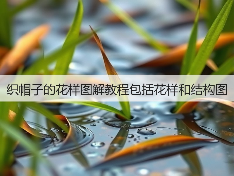 织帽子的花样图解教程包括花样和结构图