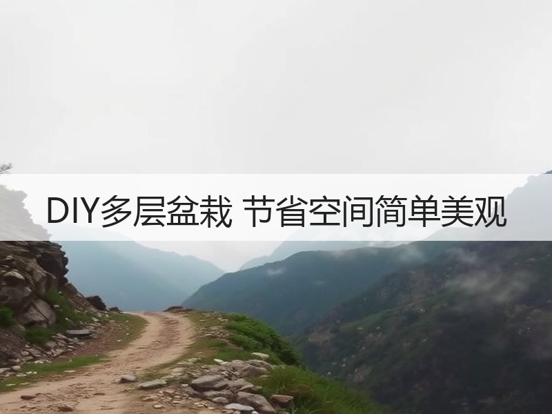 DIY多层盆栽 节省空间简单美观