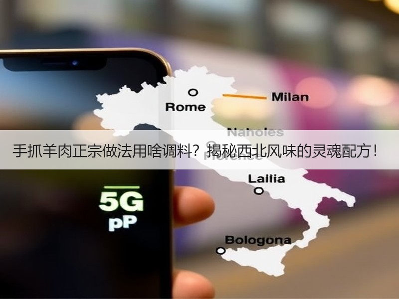 手抓羊肉正宗做法用啥调料？揭秘西北风味的灵魂配方！