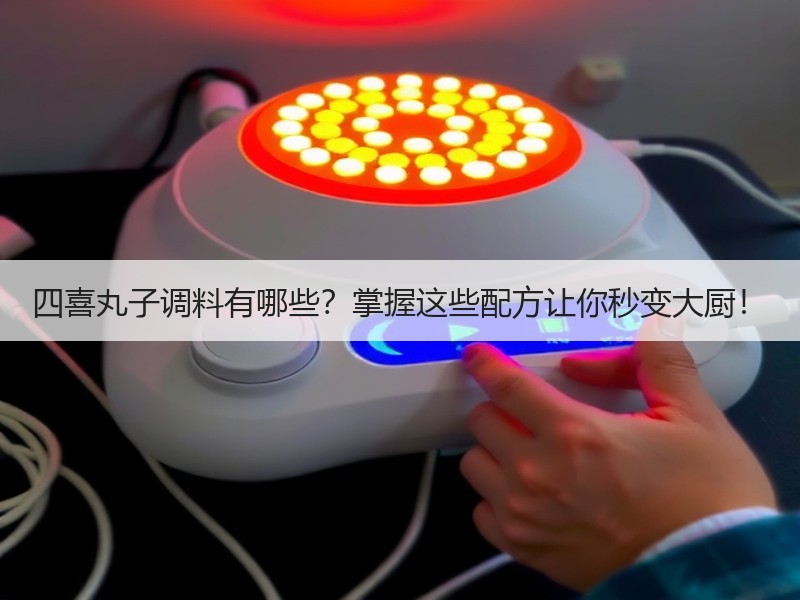 四喜丸子调料有哪些？掌握这些配方让你秒变大厨！