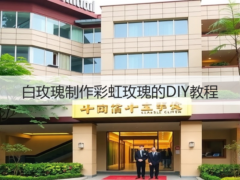 白玫瑰制作彩虹玫瑰的DIY教程