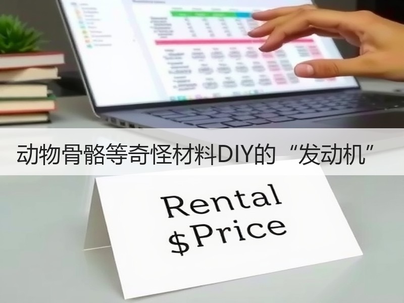动物骨骼等奇怪材料DIY的“发动机”