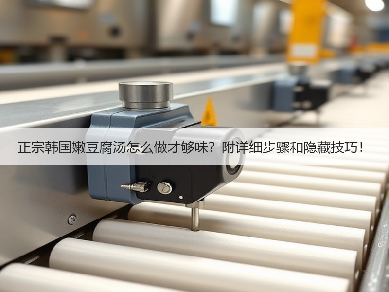 正宗韩国嫩豆腐汤怎么做才够味？附详细步骤和隐藏技巧！