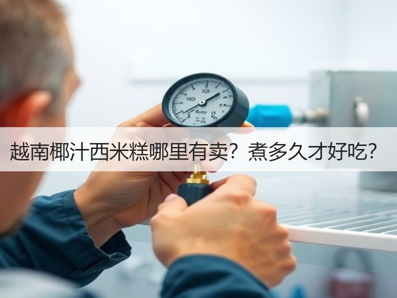 越南椰汁西米糕哪里有卖？煮多久才好吃？