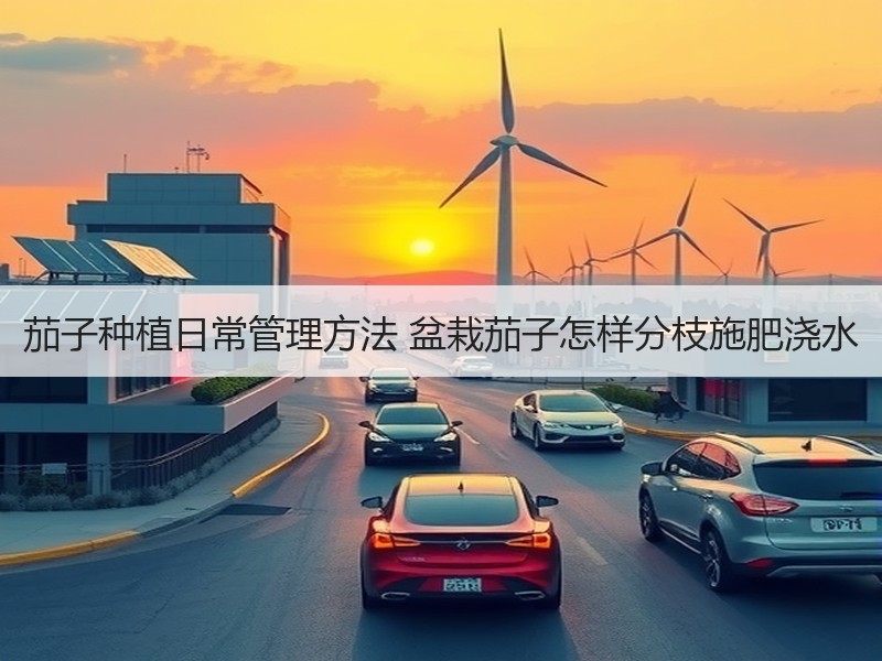 茄子种植日常管理方法 盆栽茄子怎样分枝施肥浇水