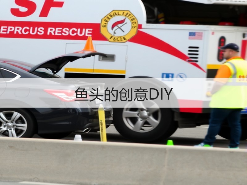 鱼头的创意DIY