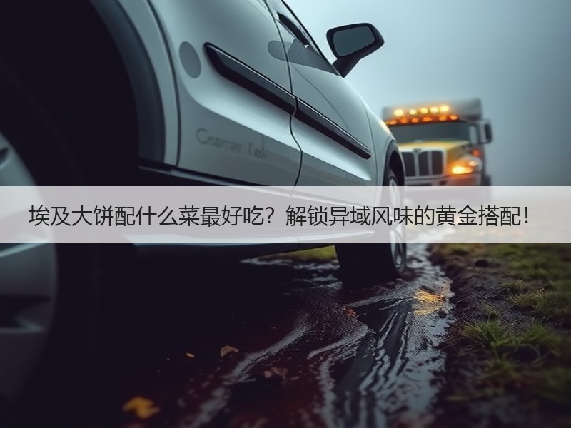 埃及大饼配什么菜最好吃？解锁异域风味的黄金搭配！
