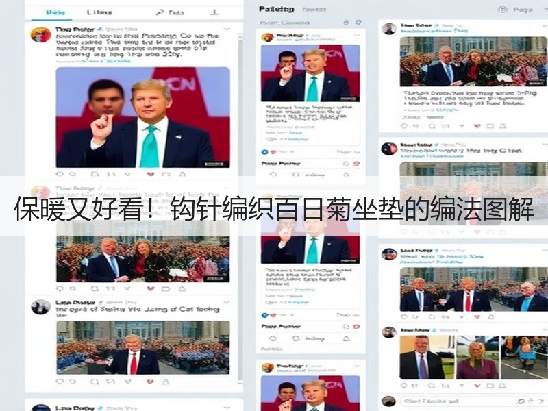 保暖又好看！钩针编织百日菊坐垫的编法图解