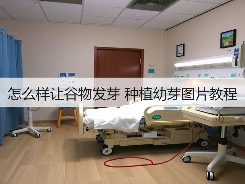怎么样让谷物发芽 种植幼芽图片教程