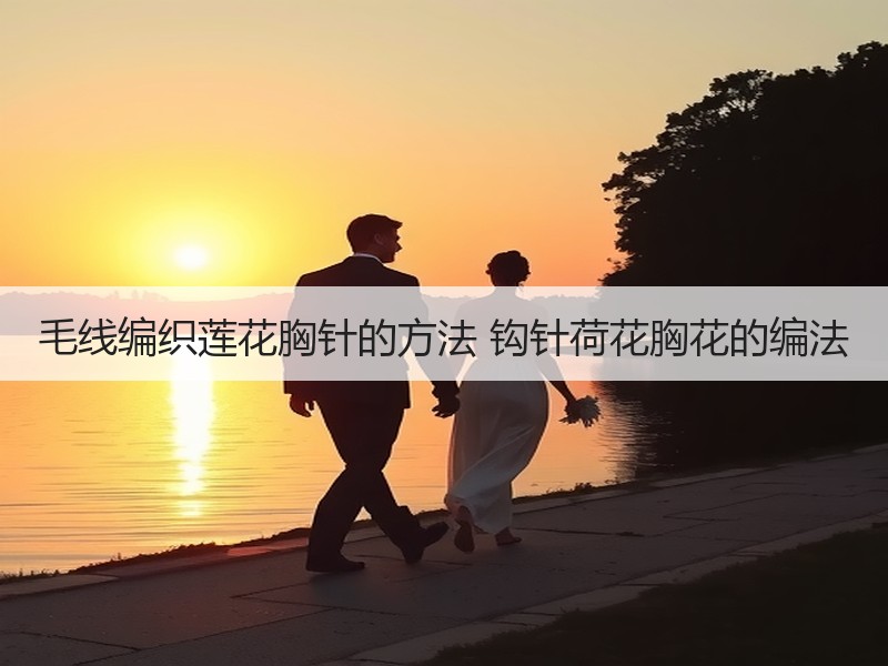 毛线编织莲花胸针的方法 钩针荷花胸花的编法