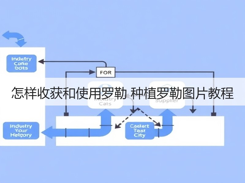 怎样收获和使用罗勒 种植罗勒图片教程