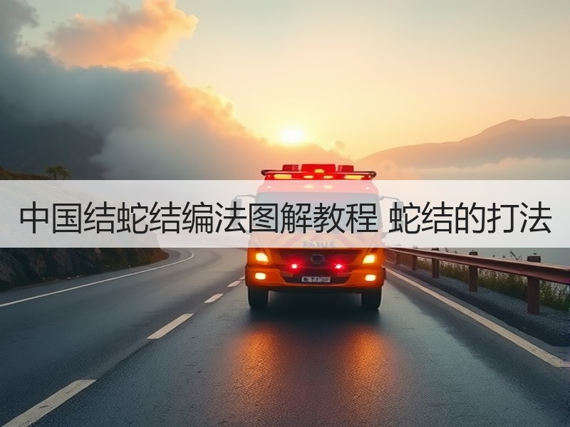 中国结蛇结编法图解教程 蛇结的打法