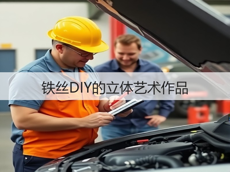 铁丝DIY的立体艺术作品