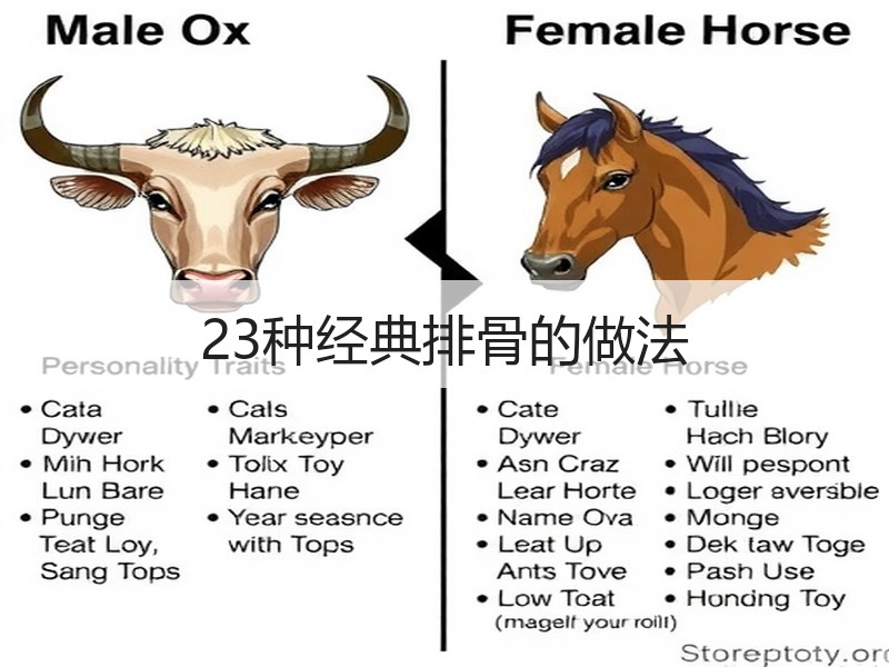 23种经典排骨的做法