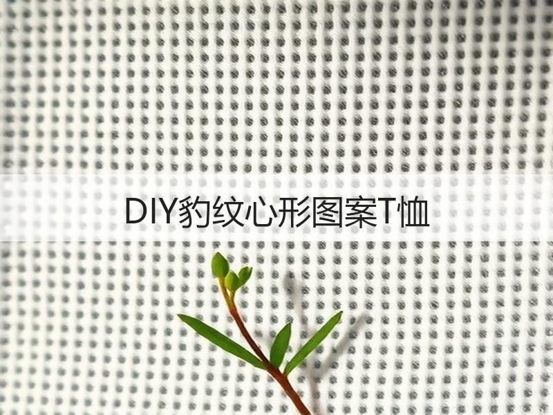 DIY豹纹心形图案T恤