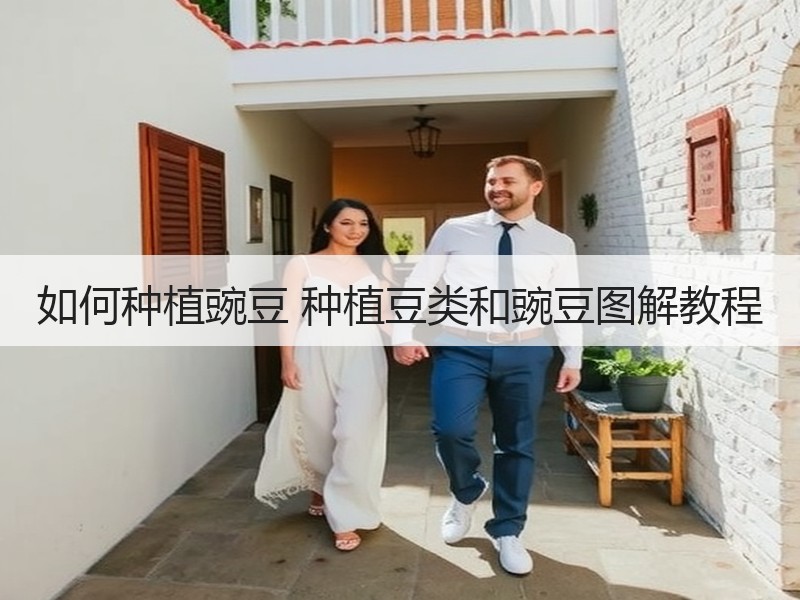 如何种植豌豆 种植豆类和豌豆图解教程