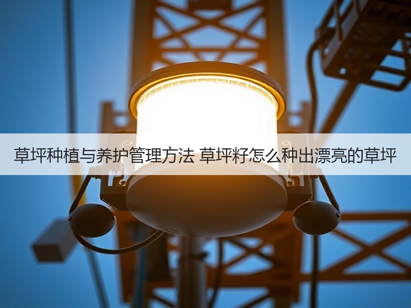 草坪种植与养护管理方法 草坪籽怎么种出漂亮的草坪