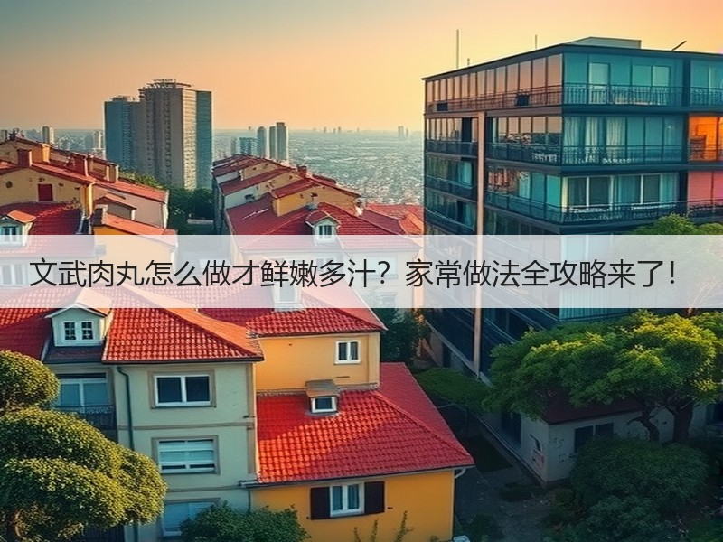 文武肉丸怎么做才鲜嫩多汁？家常做法全攻略来了！