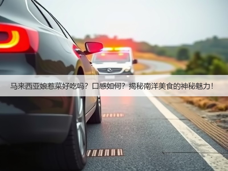 马来西亚娘惹菜好吃吗？口感如何？揭秘南洋美食的神秘魅力！