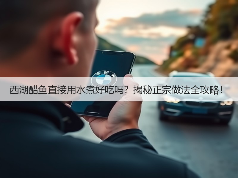 西湖醋鱼直接用水煮好吃吗？揭秘正宗做法全攻略！