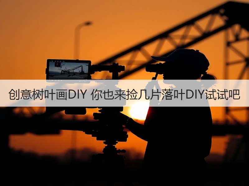 创意树叶画DIY 你也来捡几片落叶DIY试试吧
