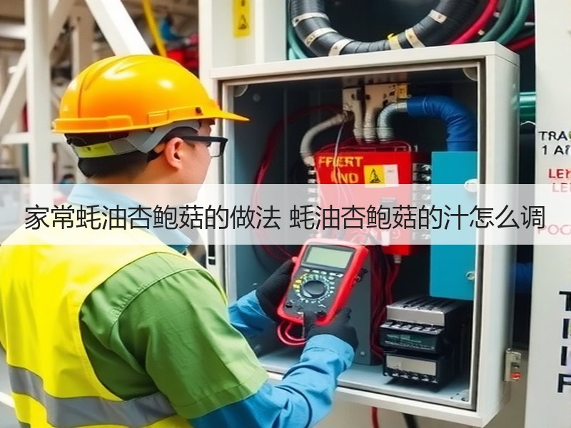 家常蚝油杏鲍菇的做法 蚝油杏鲍菇的汁怎么调