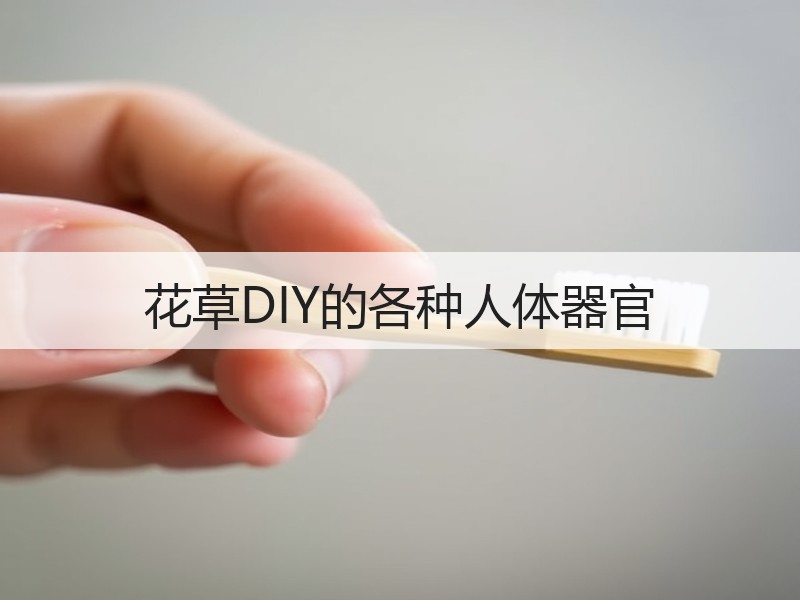 花草DIY的各种人体器官