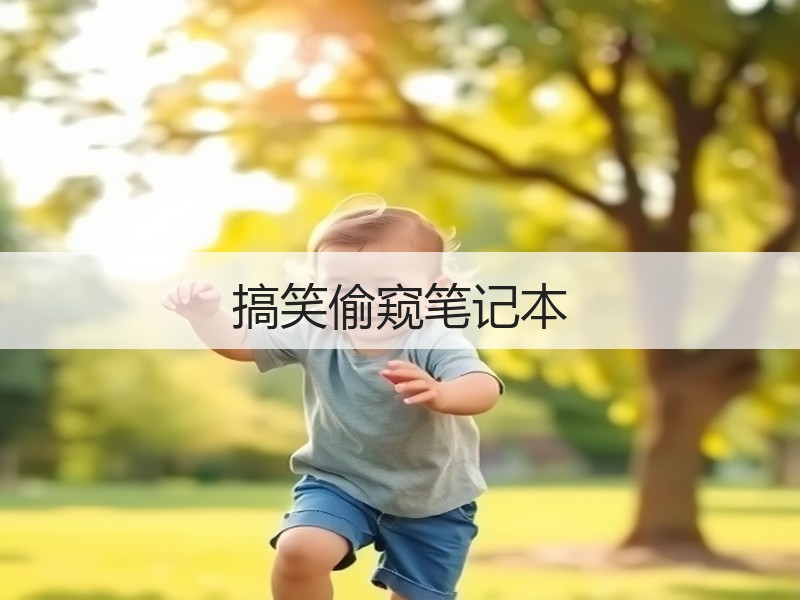 搞笑偷窥笔记本