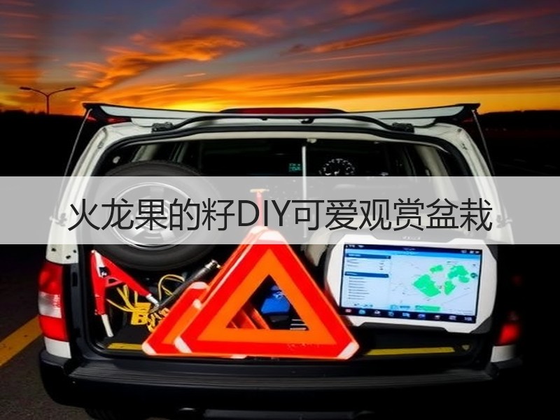 火龙果的籽DIY可爱观赏盆栽