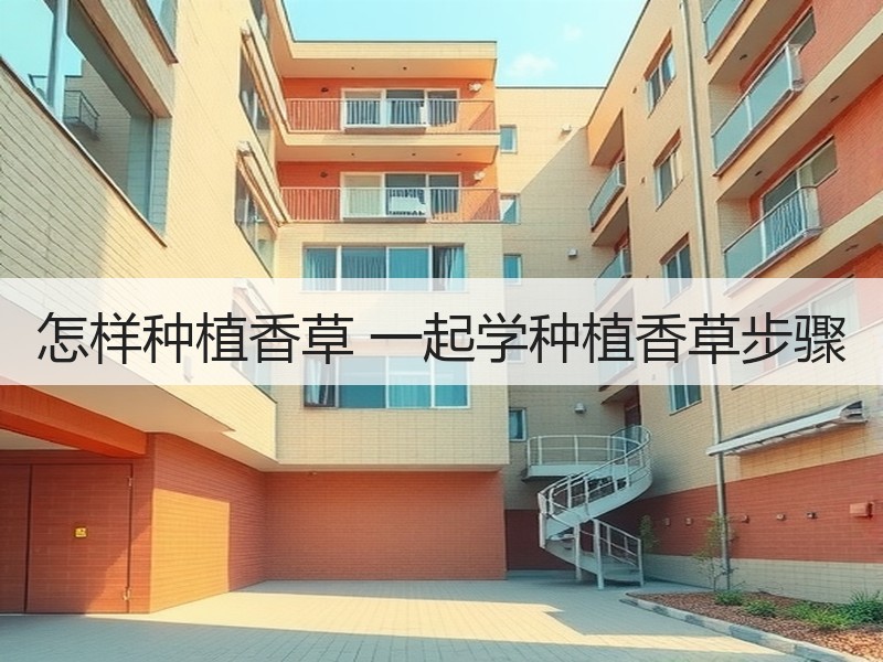 怎样种植香草 一起学种植香草步骤