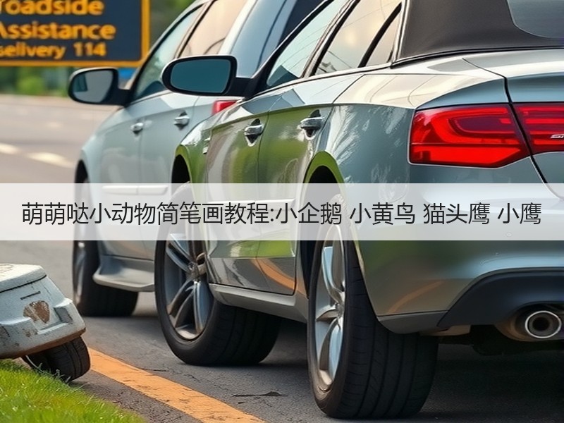 萌萌哒小动物简笔画教程:小企鹅 小黄鸟 猫头鹰 小鹰