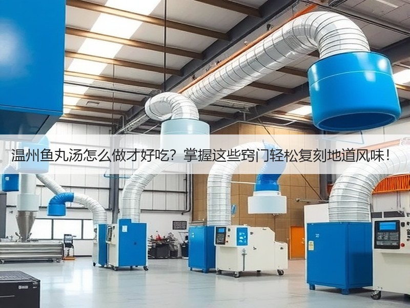 温州鱼丸汤怎么做才好吃？掌握这些窍门轻松复刻地道风味！