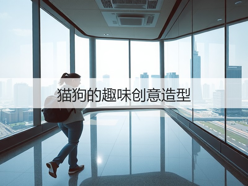猫狗的趣味创意造型