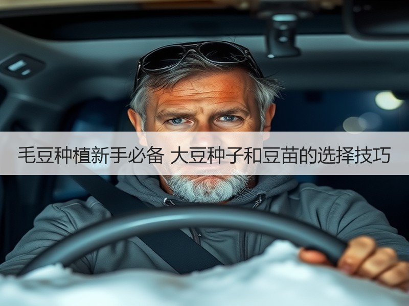毛豆种植新手必备 大豆种子和豆苗的选择技巧