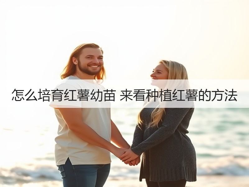 怎么培育红薯幼苗 来看种植红薯的方法
