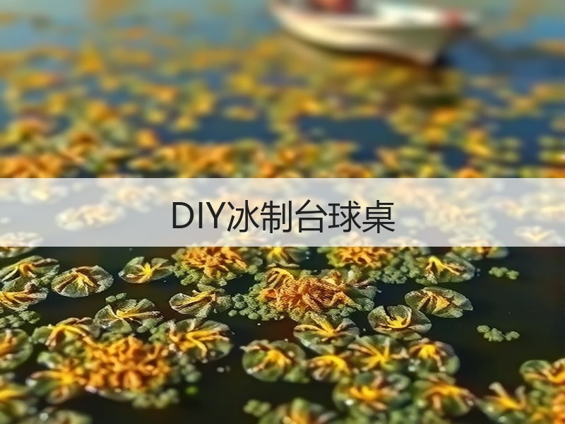 DIY冰制台球桌