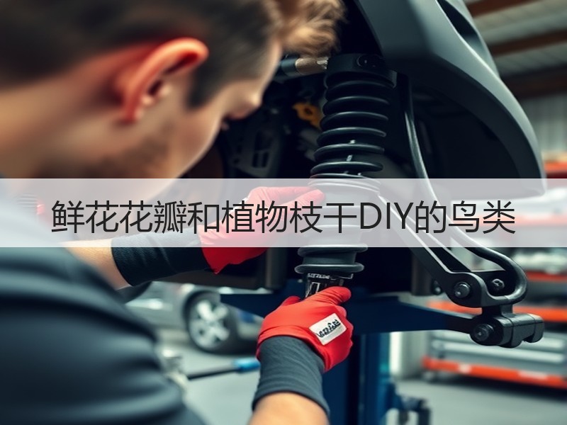 鲜花花瓣和植物枝干DIY的鸟类