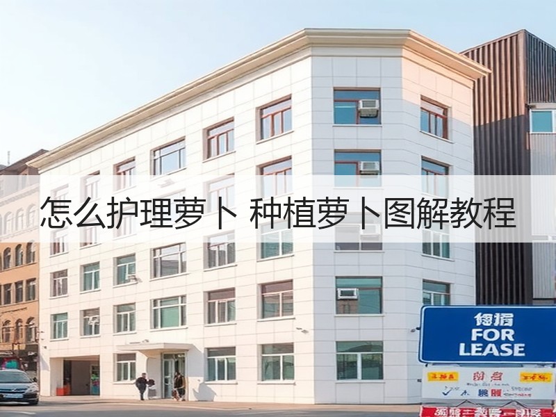 怎么护理萝卜 种植萝卜图解教程