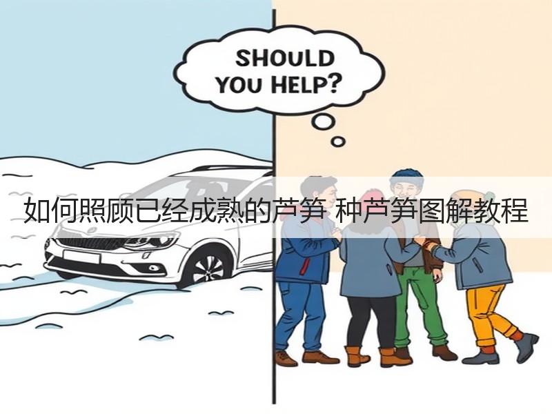 如何照顾已经成熟的芦笋 种芦笋图解教程