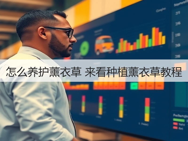 怎么养护薰衣草 来看种植薰衣草教程