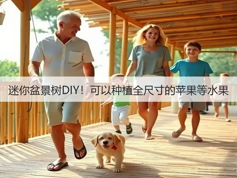 迷你盆景树DIY！可以种植全尺寸的苹果等水果