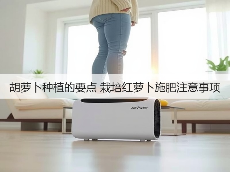 胡萝卜种植的要点 栽培红萝卜施肥注意事项