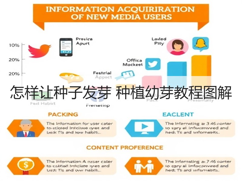 怎样让种子发芽 种植幼芽教程图解