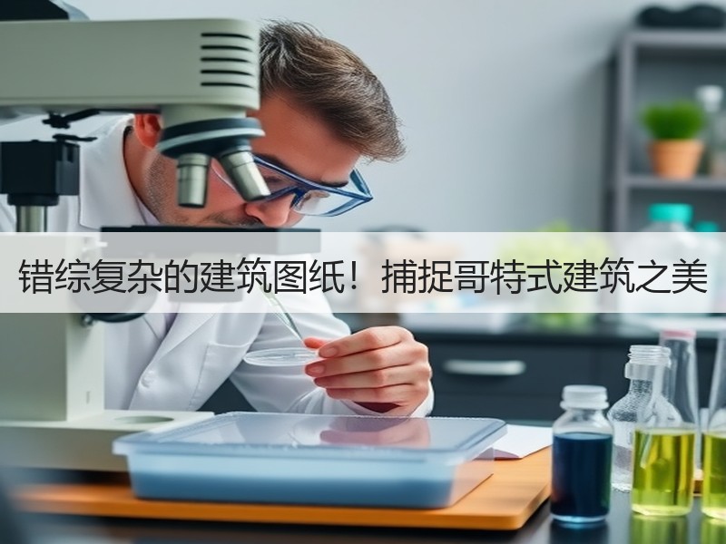 错综复杂的建筑图纸！捕捉哥特式建筑之美