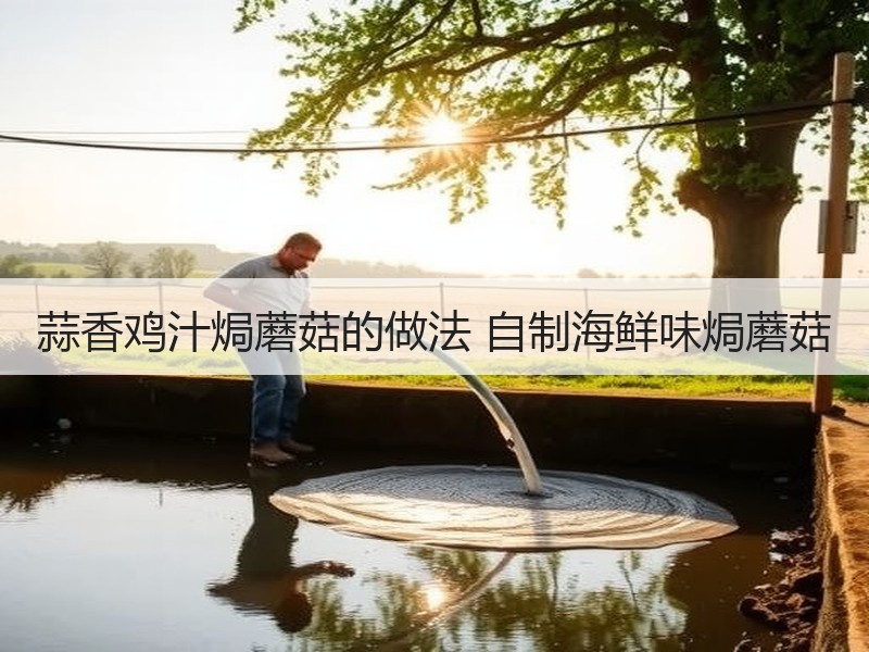 蒜香鸡汁焗蘑菇的做法 自制海鲜味焗蘑菇