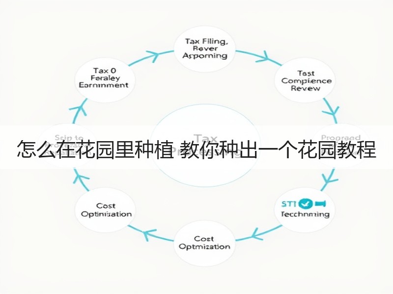 怎么在花园里种植 教你种出一个花园教程