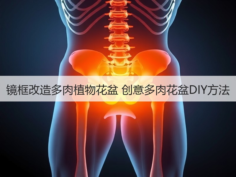 镜框改造多肉植物花盆 创意多肉花盆DIY方法