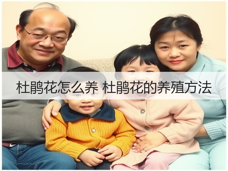 杜鹃花怎么养 杜鹃花的养殖方法