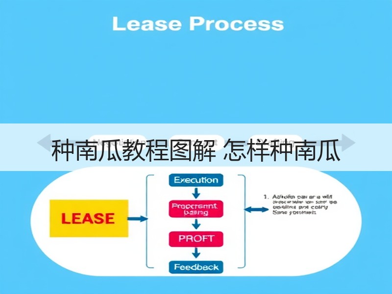 种南瓜教程图解 怎样种南瓜